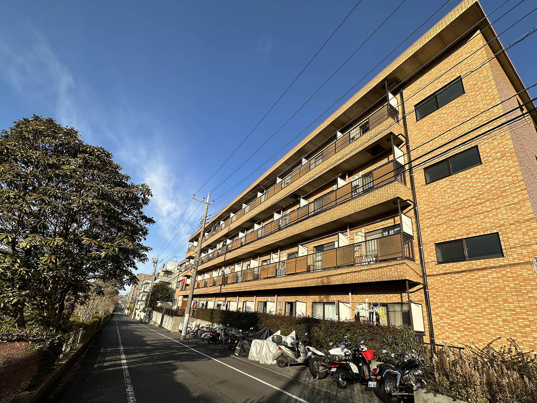 【REN永山】フルリノベーション住戸の募集が開始されました